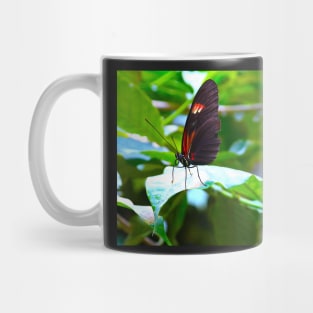 butterfly "Heliconius melpomene" Mug